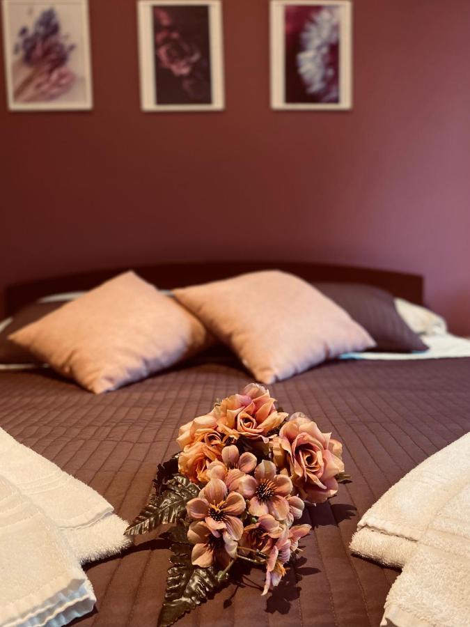 Dreams In Rome - Colosseum Apartment Esterno foto