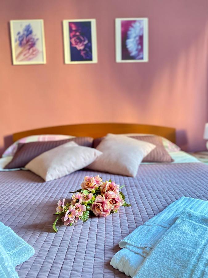Dreams In Rome - Colosseum Apartment Esterno foto